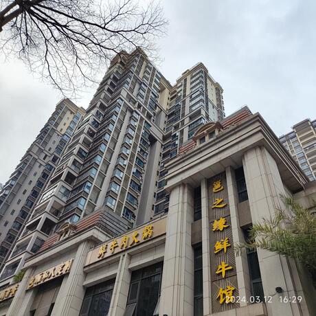 【云星·钱隆首府】南宁市良庆区金龙路8号云星·钱隆首府5号楼2单元三层303号不动产