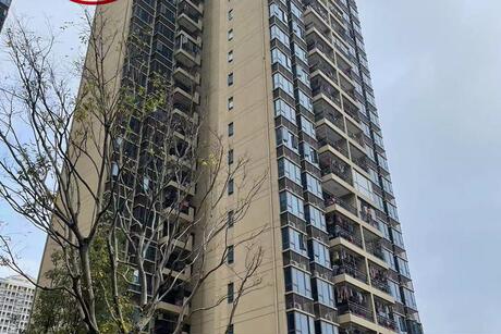 【碧桂园公园壹号】南宁市江南区智兴路9号碧桂园·公园壹号10号楼十三层1301号房屋