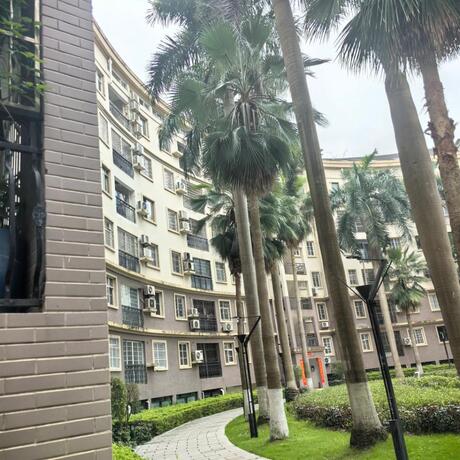 【澳洲丽园】南宁市青秀区青山路10号澳洲丽园19单元19-0205号房产