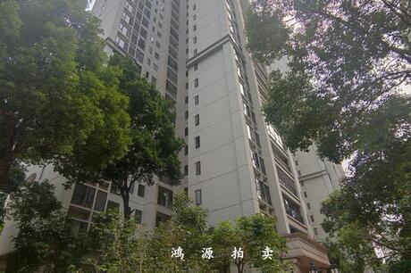 【盛科城】广西南宁市良庆区龙佑街1号盛科城A3栋十七层1703号房屋