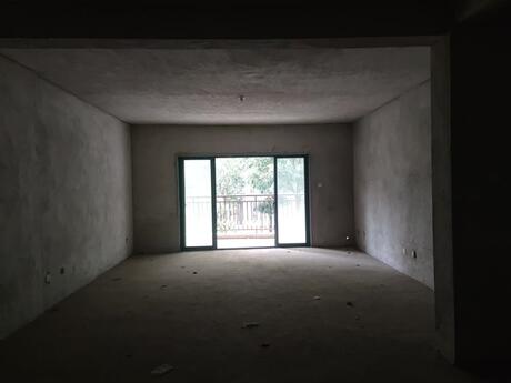 【维也纳森林住】南宁市青秀区长湖路69号维也纳森林住宅小区25号楼101号不动产【含室内装修、附着物等】
