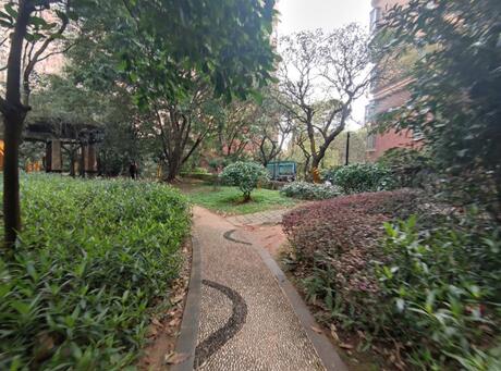 【龙胤·凤凰城】南宁市青秀区长福路9号龙胤·凤凰城12号楼1单元603号不动产
