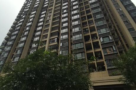 【檀府印象檀熙】南宁市良庆区庆林路17号檀府印象檀熙12号楼2单元九层906号不动产