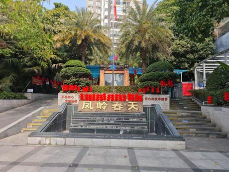 【凤岭春天】南宁市青秀区枫林路6号凤岭春天3号楼2单元3-2-1103号不动产