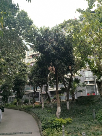 【天筑丽城】南宁市江南区星光大道68-1号天筑丽城19号楼D单元602号不动产