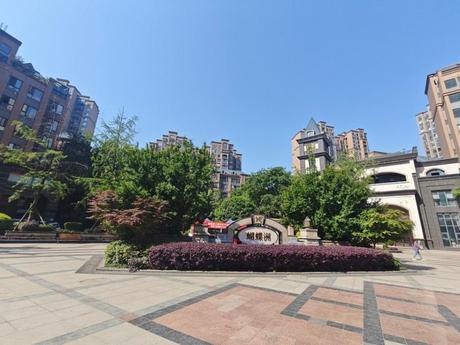【蝴蝶洲】成都市青白江区凤祥大道1266号4栋1单元11层1106号房屋