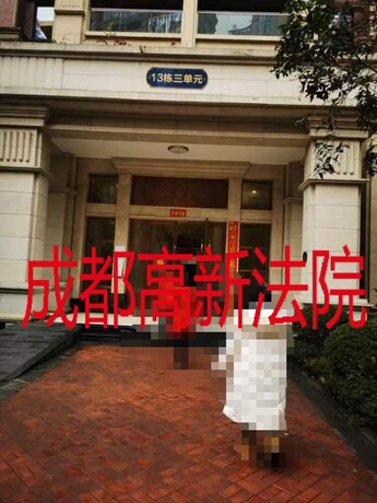 【富豪·三里花城】成都市双流区东升街道宜城大街一段333号13栋3单元8层805号不动产