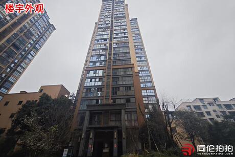 【金强欧郡】成都市温江区柳城街办柳林路99号2栋3单元25层2501号