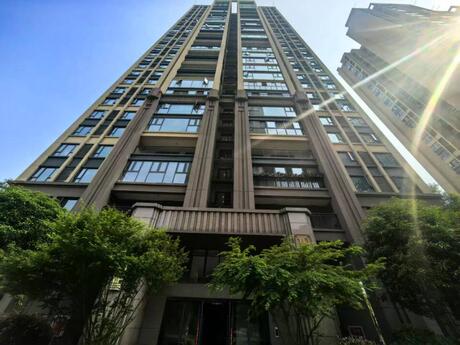 【观澜云邸】崇州市羊马镇羊安北路237号10栋1单元29层2901号住宅