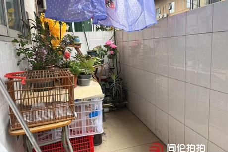 【古城路9号】南宁市青秀区古城路9号9栋3单元9号房