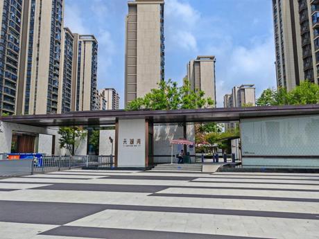 【天湖湾】成都市双流区公兴街道华府大道四段房产