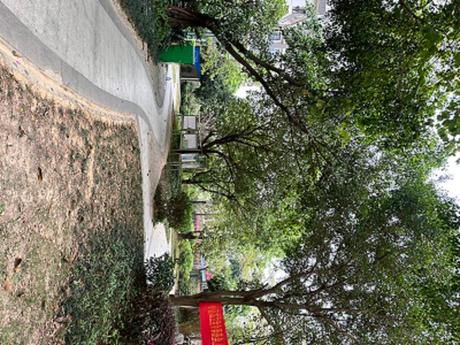 【骋望·领尚颂】南宁市西乡塘区石埠路89号骋望·领尚颂住宅小区2号楼3单元二十八层2804号房