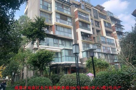 【成都国奥村】四川省成都市双流区东升街道航林路396号14栋2单元1楼2号房产