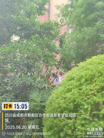【新希望皇冠国际】成都市高新区(西区)西芯大道1号21栋3单元3层302号