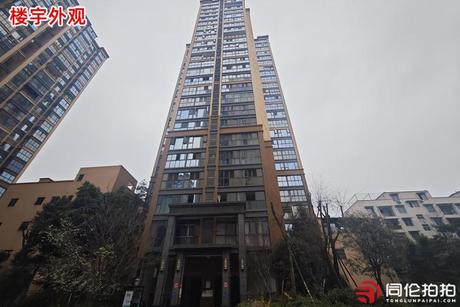 【金强欧郡】成都市温江区柳城街办柳林路99号2栋3单元25层2501号