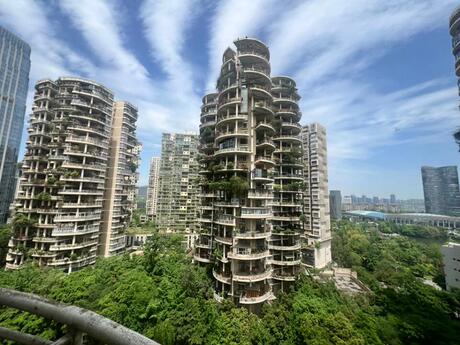 【天鹅湖花园】成都市高新区天府大道中段177号6栋1单元14楼1号房产