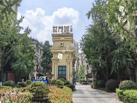 【世茂城二期】成都市龙泉驿区天鹅西湖南路33号28栋1单元8层805号住宅用房