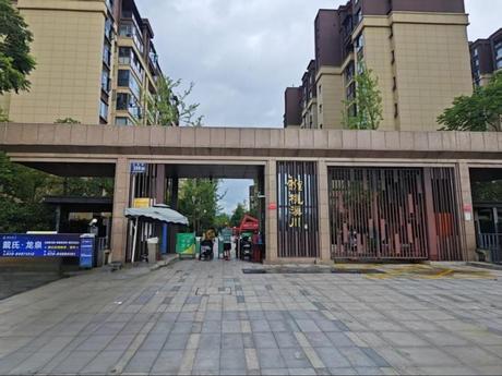 【绿地新里桃溪川】成都市龙泉驿区幸阳路388号2栋2单元10层1003号房屋及附着装修