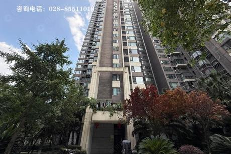 【天府滨河湾】成都市天府新区华阳街道滨河路二段169号10栋1单元18层1804号房产