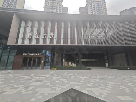 【城投中南智在云辰】成都市新津区城投中南智在云辰4栋1单元6楼604号房屋(不含室内家具家电)
