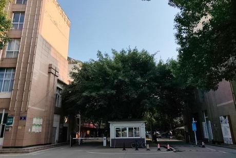 【岷江小区】四川省成都市新津区永商镇飞雪路5号49栋2单元4层1号不动产