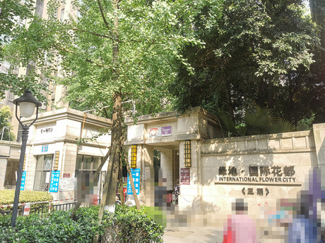 【绿地国际花都三期】四川省成都市郫都区郫筒镇创智南一路39号2栋2单元25楼2506号