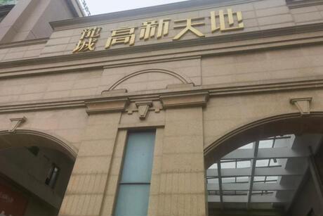 【龙城高新天地】四川省成都市高新区迪康大道8号3栋2单元11楼1117号的房地产(含固定装修)