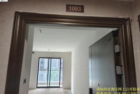 【中建凤凰湖畔】成都市青白江区凤凰东二路33号8栋1单元10层1003号的房产【产权证号:川(2024)青白江区不动产权第0011500号;唯一号:1335339】