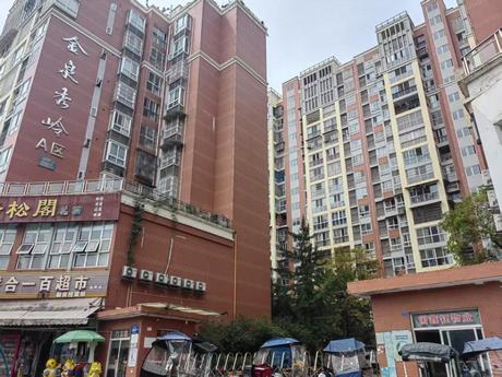 【金泉秀岭A区】成都市金堂县赵镇十里大道二段860号1栋2单元8楼1号住宅